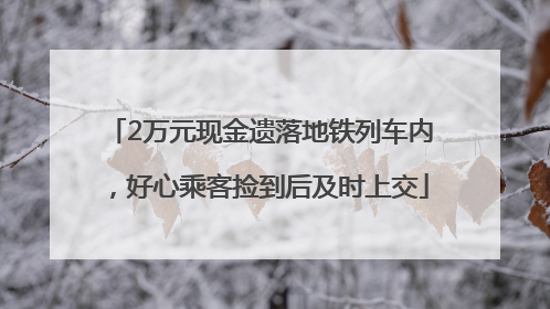 2万元现金遗落地铁列车内，好心乘客捡到后及时上交