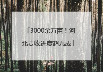 3000余万亩！河北麦收进度超九成
