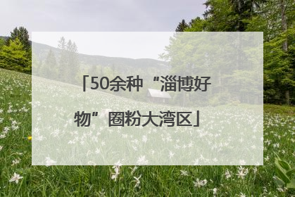 50余种“淄博好物”圈粉大湾区
