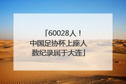 60028人！中国足协杯上座人数纪录属于大连