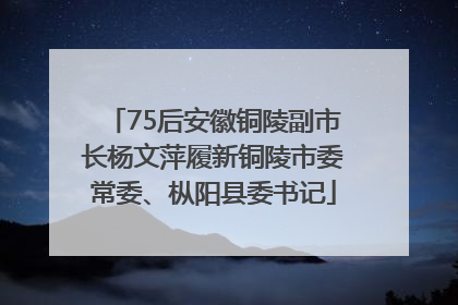 75后安徽铜陵副市长杨文萍履新铜陵市委常委、枞阳县委书记
