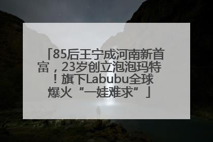 85后王宁成河南新首富，23岁创立泡泡玛特！旗下Labubu全球爆火“一娃难求”