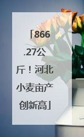 866.27公斤！河北小麦亩产创新高