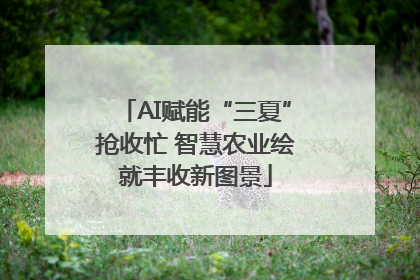 AI赋能“三夏”抢收忙 智慧农业绘就丰收新图景