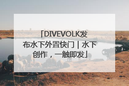 DIVEVOLK发布水下外置快门｜水下创作，一触即发