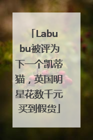 Labubu被评为下一个凯蒂猫，英国明星花数千元买到假货