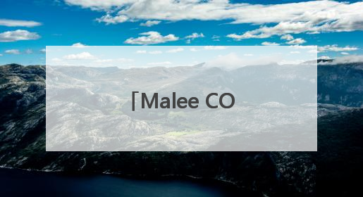 Malee COCO椰子水官宣张凌赫为亚太代言人，以“美不费力”开启健康生活好状态