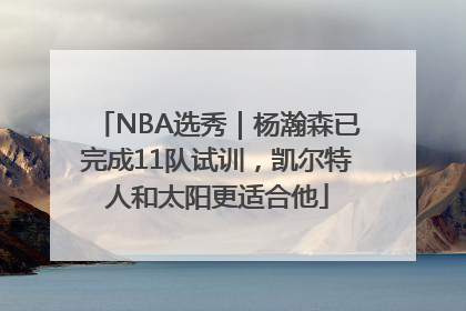 NBA选秀｜杨瀚森已完成11队试训，凯尔特人和太阳更适合他